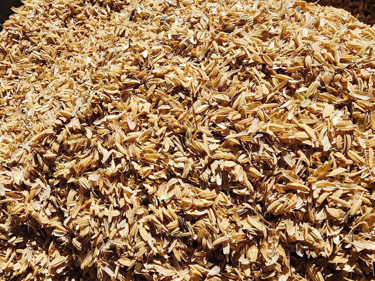 Compose Rice Hull Rice Hulls – organic gardening solutions new
